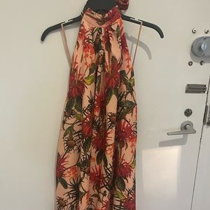 Cynthia Steffe NWT dress